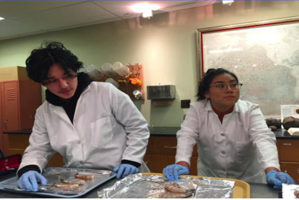 Uncommon High School students participate in a research study on microplastics with Columbia University