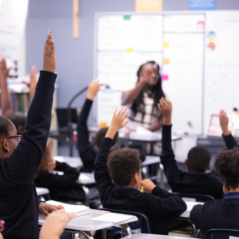 Student raises their hand during a class lesson
